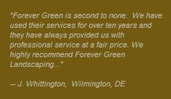 wilmington delware landscaping testimonial from mr whittington